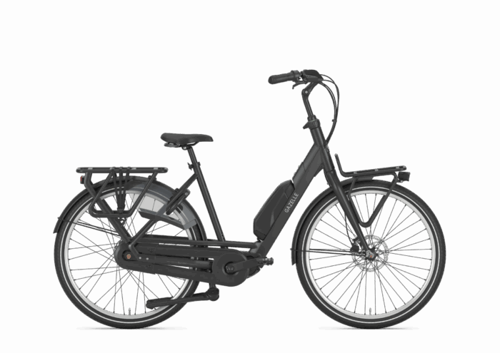 GAZELLE Bloom C310