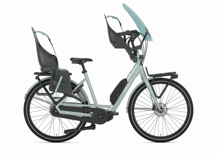 GAZELLE Bloom C7