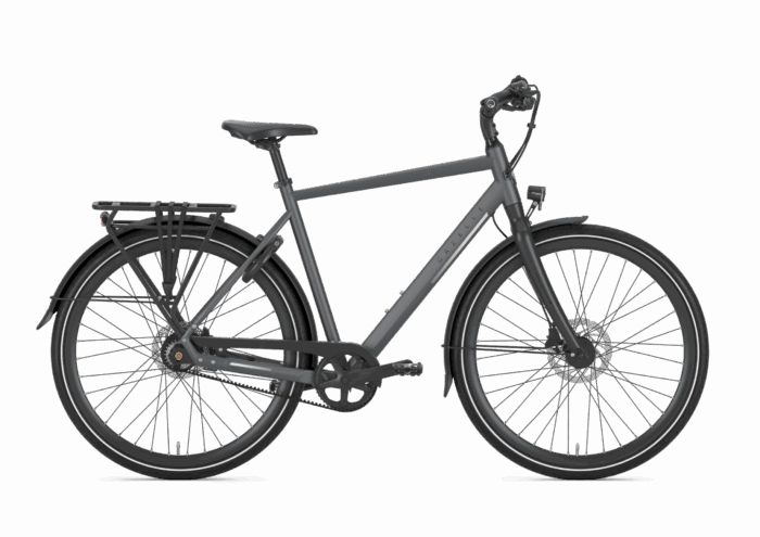 GAZELLE Chamonix S11